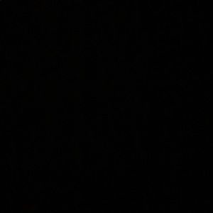 Meet your Posher, Ava